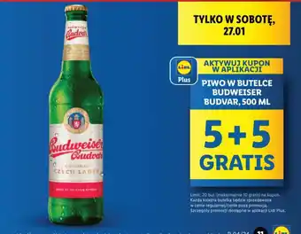 Lidl PIWO W BUTELCE BUDWEISER BUDVAR, 500 ML oferta