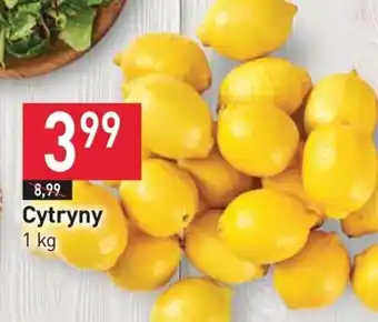 Stokrotka Cytryny 1 kg oferta