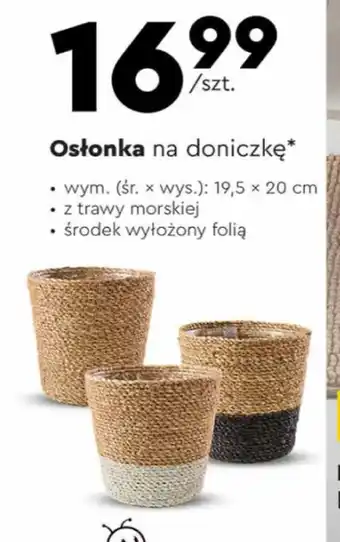 Osłonka
