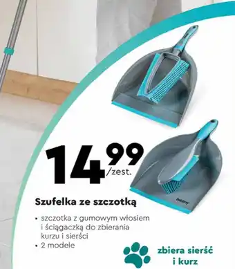 Biedronka Szufelka ze szczotką oferta