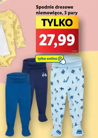 Lidl Spodnie dresowe OnLine oferta