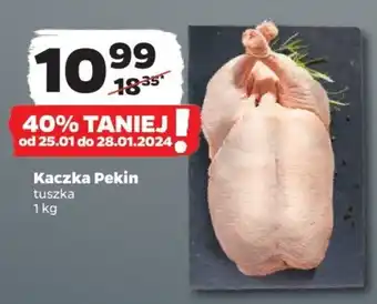 Netto Kaczka Pekin 1 kg oferta