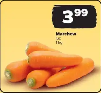 Netto Marchew 1 kg oferta