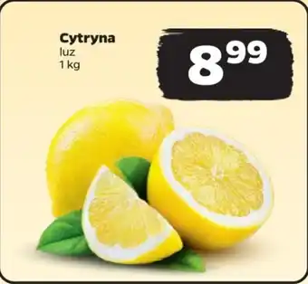 Netto Cytryna 1 kg oferta