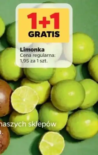Netto Limonka oferta