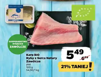Netto Karp BIO Ryby z Serca Natury Zawólcze oferta