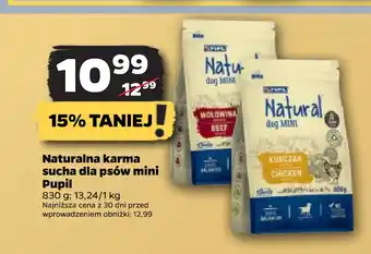 Netto Naturalna karma sucha dla psów mini Pupil oferta