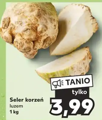 Kaufland Seler korzeń 1kg oferta