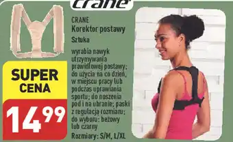 ALDI CRANE Korektor postawy oferta
