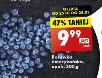 Biedronka Borówka amerykańska, opak. 300 g oferta