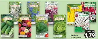 Kaufland Nasiona oferta