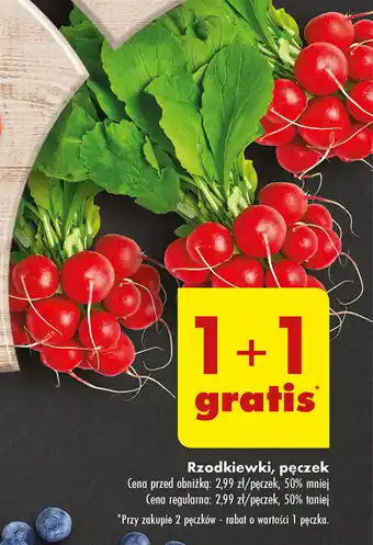 Biedronka Rzodkiewki, pęczek oferta