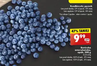 Biedronka Borówka amerykańska, opak. 300 g oferta
