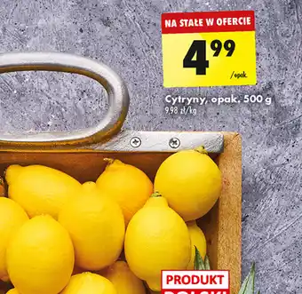 Biedronka Cytryny, opak, 500 g oferta