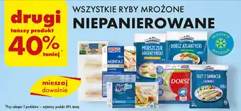 Biedronka WSZYSTKIE RYBY MROŻONE NIEPANIEROWANE oferta