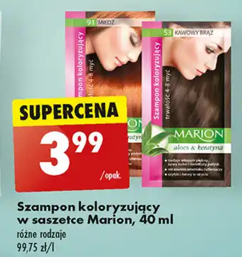 Biedronka Szampon koloryzujący w saszetce Marion, 40 ml oferta