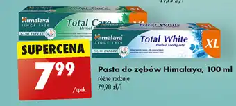 Biedronka Pasta do zębów Himalaya, 100 ml oferta