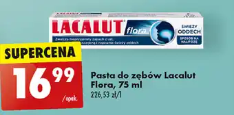 Biedronka Pasta do zębów Lacalut Flora, 75 ml oferta