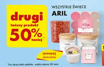 Biedronka WSZYSTKIE ŚWIECE ARIL oferta
