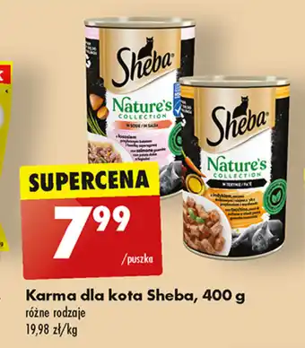 Karma dla kota Sheba, 400 g