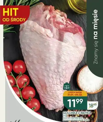 Chata Polska GOLONKA Z INDYKA 1 kg oferta