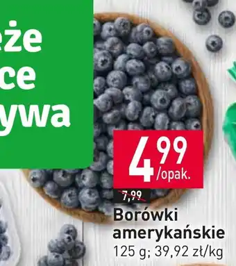 Stokrotka Market Borówki amerykańskie oferta