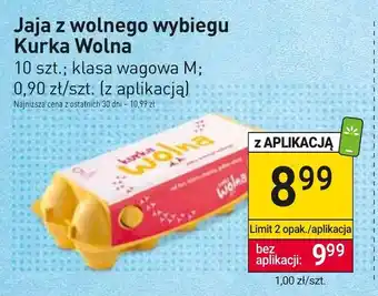Stokrotka Market Jaja Kurka wolna oferta