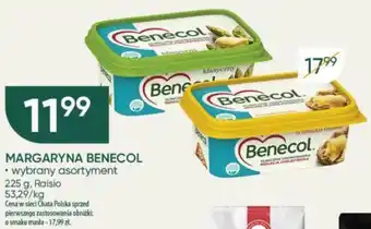 Chata Polska Raisio MARGARYNA BENECOL 225 g oferta