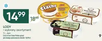 Chata Polska Jan LODY oferta