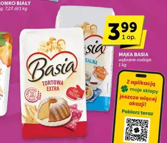 Groszek Mąka tortowa Basia oferta