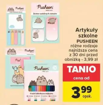 Carrefour Artykuły szkolne PUSHEEN oferta