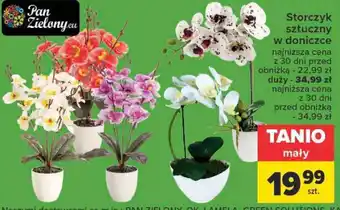 Carrefour Storczyk sztuczny w doniczce oferta