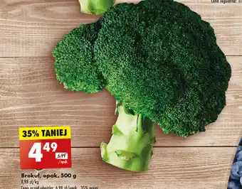 Biedronka Brokuł oferta