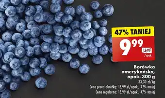 Biedronka Borówka amerykańska oferta