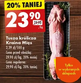 Biedronka Tuszka królicza Kraina Mięs oferta