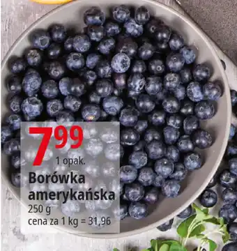 E.Leclerc Borówka amerykańska 250 g oferta