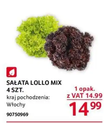 Selgros SAŁATA LOLLO MIX 4 SZT. oferta