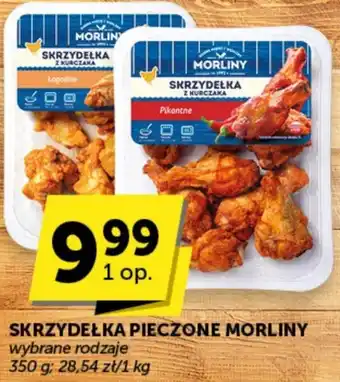 ABC Skrzydełka Morliny oferta