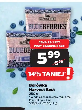 Netto Borówka Harvest Best oferta