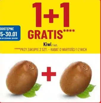 Polomarket Kiwi oferta