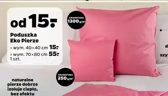 Netto Poduszka Eko Pierze oferta