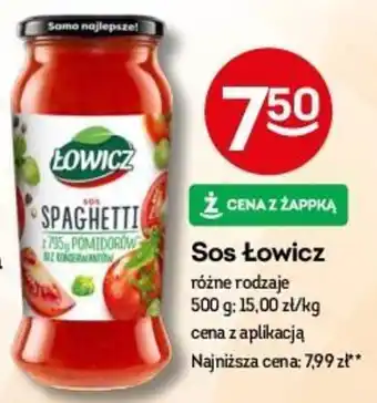 Żabka Sos Łowicz 500 g oferta