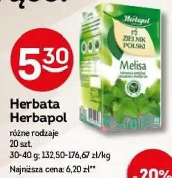 Żabka Herbata Herbapol oferta