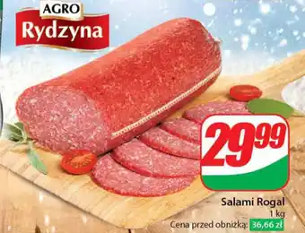 Dino Salami Rogal 1 kg oferta