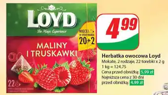 Dino Herbatka owocowa Loyd oferta