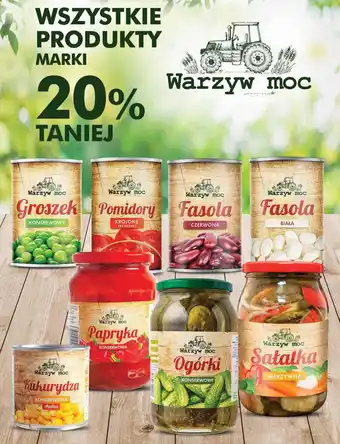 Dino WSZYSTKIE PRODUKTY MARKI WARZYW MOC oferta