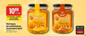 Polomarket Miód lipowy lub wielokwiatowy Zaczarowany Ogród 400 g oferta