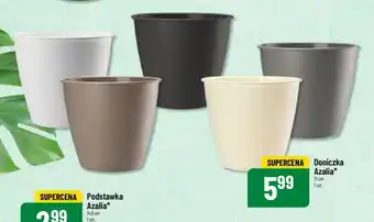 Polomarket Doniczka Azalia oferta