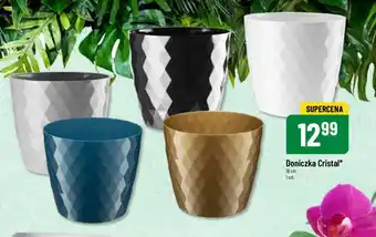 Polomarket Doniczka Cristal oferta