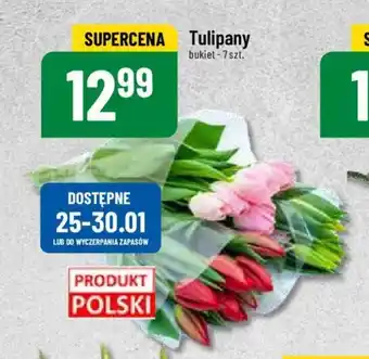Polomarket Tulipany 7 szt. oferta